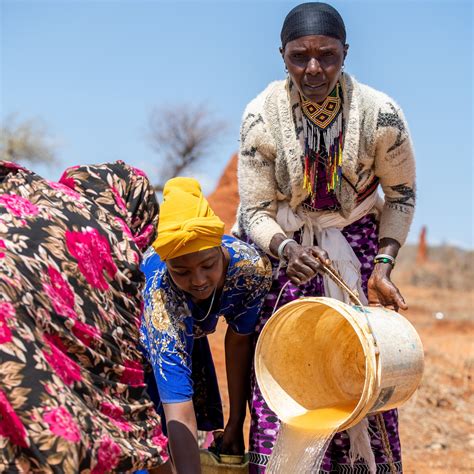 virtual charity gifts|CAFOD World Gifts.